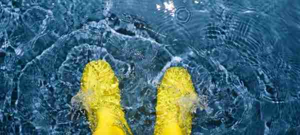 Are Leaks And Water Damage Responsible For Mold Growth