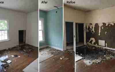 What Is the Best Method for Mold Treatment After Water Damage?